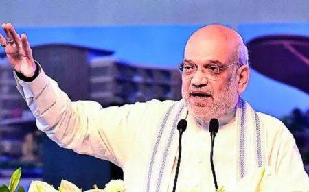 BSF smashed Pak posts & systems, will take years to rebuild: Amit Shah