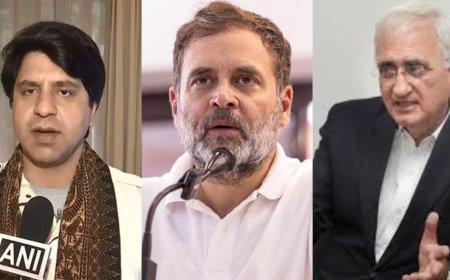 'Ridiculous Rahul': BJP slams Congress after Salman Khurshid's support for Article 370, Op Sindoor
