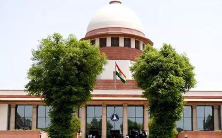 Plea in Supreme Court challenges Assam's ‘push back’ drive against alleged foreigners