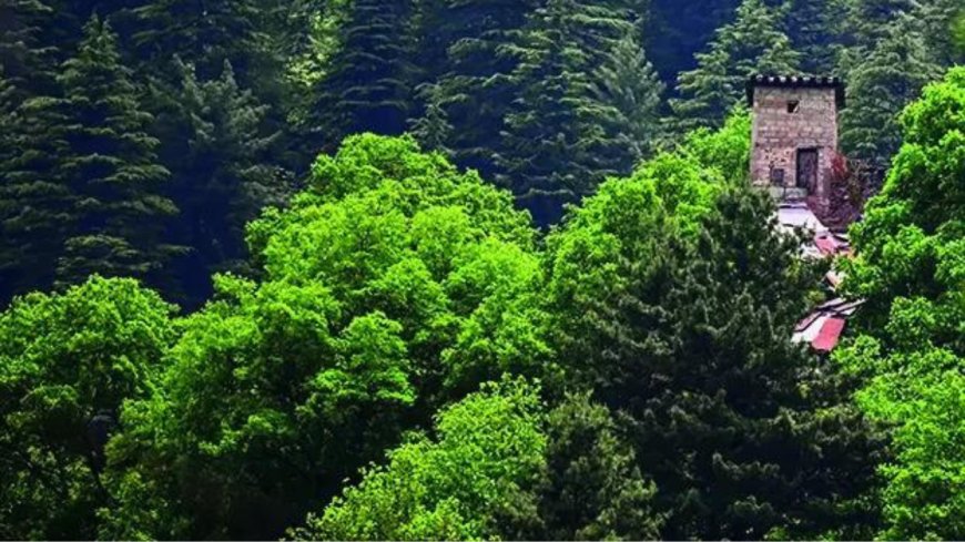 Pahalgam fallout: Fearing India hit, Pakistan empties out terror launch pads off LoC