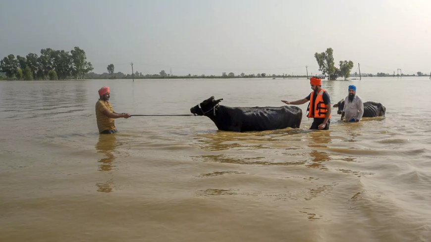 Special session of Punjab House today to discuss water release to Haryana