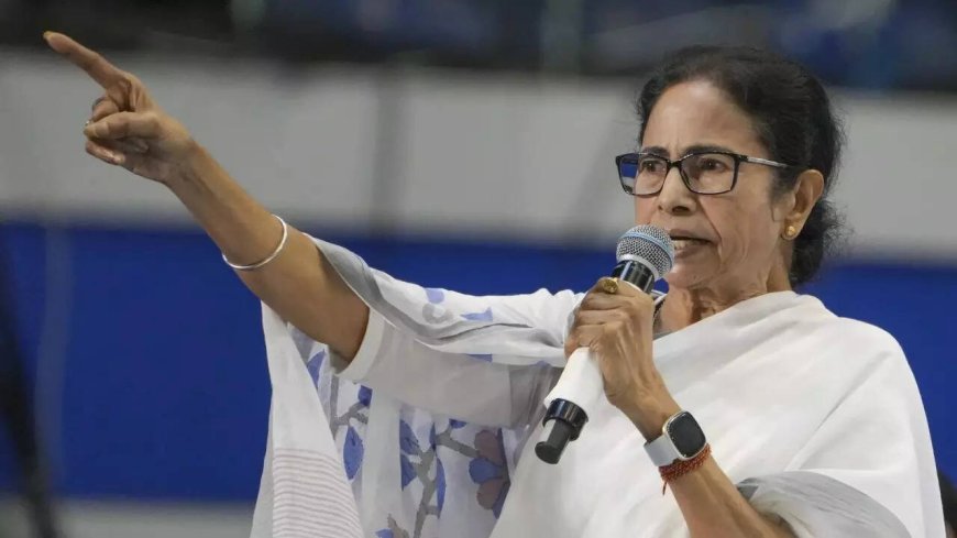 'Murshidabad violence was well planned,' claims West Bengal CM Mamata Banerjee; blames BSF & BJP