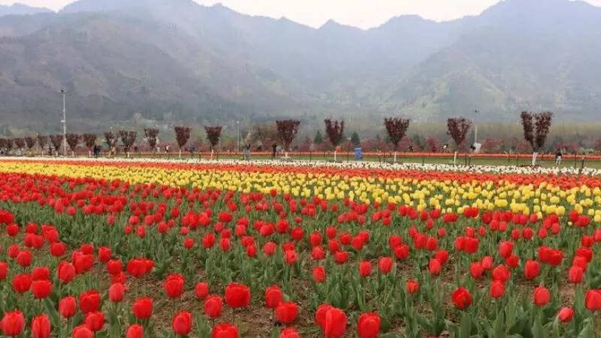 Kolkata travel companies launch ‘Chalo Kashmir’ drive