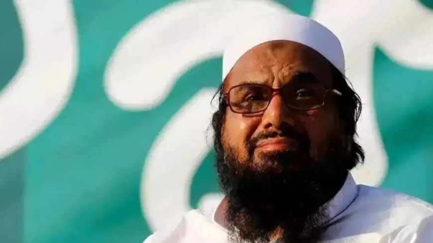 'US did it, why can't Pakistan?': Indian envoy demands Hafiz Saeed's extradition