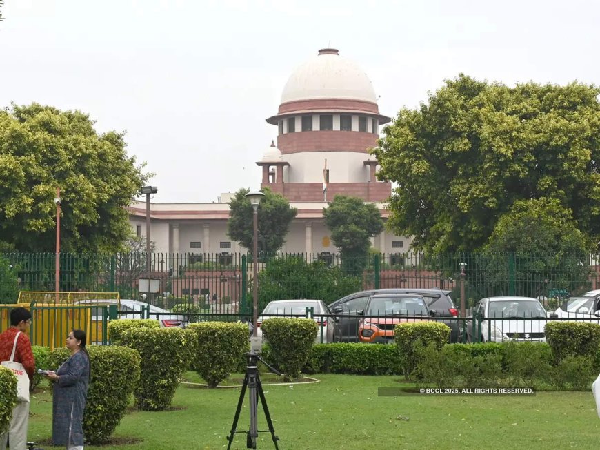 1-year jail not a prerequisite for bail to accused in laundering case: SC to ED