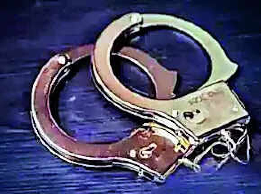 2 years after jumping parole, city's 'Dr Death' held from Rajasthan ashram