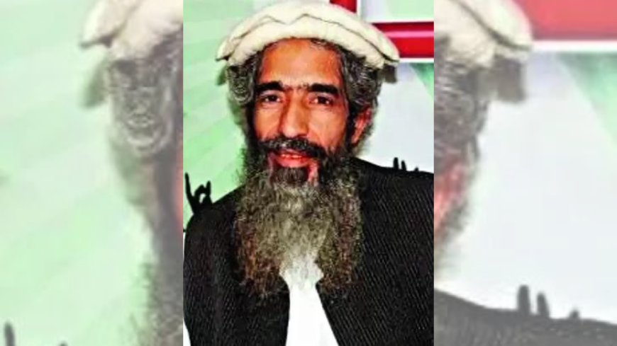 'Critically hurt', co-founder of LeT Amir Hamza lands in Lahore hospital