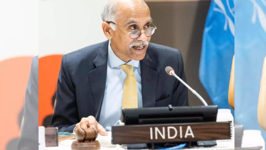India tells UN Security Council maritime security, counterterrorism key to its national interests