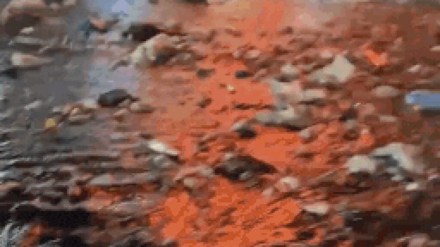 Floating garbage: Rain reduces Mumbai to sea of trash - watch viral video