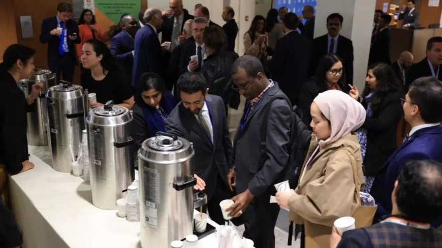 Chai pe charcha goes global: India marks 'International Tea Day' at UN