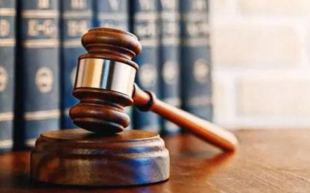 Punjab & Haryana high court upholds dismissal of former Haryana judicial officer