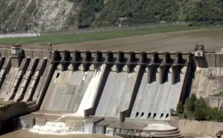 Pakistan violated Indus Water Treaty through terror: India