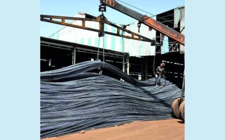 Government mulls doubling safeguard duty on steel from 12% to 24%