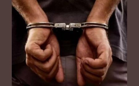 Udhampur police arrest 99 bovine smugglers; slap PSA against 4, rescue 618 animals in last 5 months