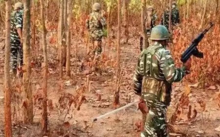 Over 2.5 tonnes of explosives looted by Maoists recovered by security forces