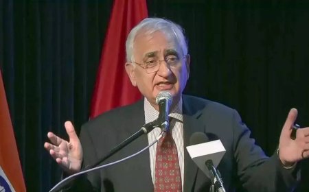 Salman Khurshid's message to 'people at home' after Article 370 remark: 'Is it so difficult to be patriotic?'