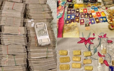 CBI slices into pizza bribe plot, IRS officer caught with Rs 1 crore cash, 3.5kg gold