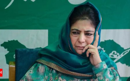 Mehbooba Mufti meets LG to press for Kashmiri Pandits’ return