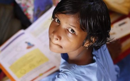 Tamil Nadu, Tripura, Delhi lead in adult literacy, shows test data so far