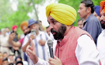 Punjab CM Bhagwant Mann’s Operation Sindoor remark sparks BJP outrage
