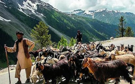 Centre OKs 85% quota for locals in jobs in Ladakh