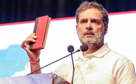 Allahabad HC rebukes Rahul Gandhi: Free speech has limits; Army can't be defamed