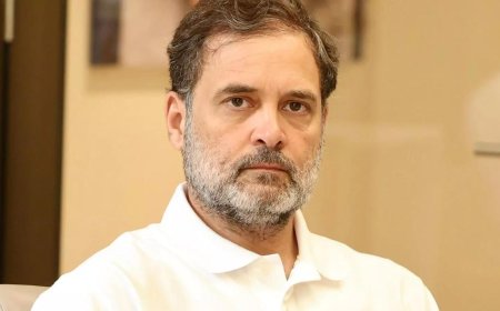 'Retire lame horses': Rahul Gandhi saddles up for Congress overhaul in MP; BJP asks 'what about you?'