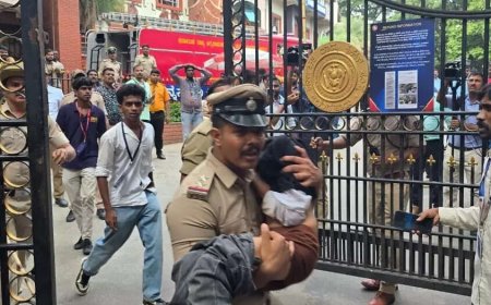 RCB victory turns tragic top developments: 8 dead in Chinnaswamy stampede in Bengaluru; child among victims, over 40 injured