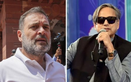 'There was no need to ask us to stop': Shashi Tharoor reacts to Rahul Gandhi's 'Narender, surrender' jibe at PM; watch video