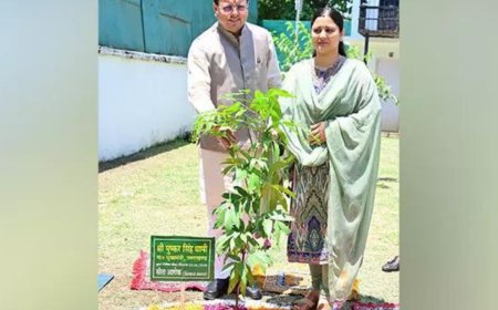Uttarakhand CM Dhami plants Sita Ashoka sapling under 'Ek Ped Maa Ke Naam' campaign at his CMO residence