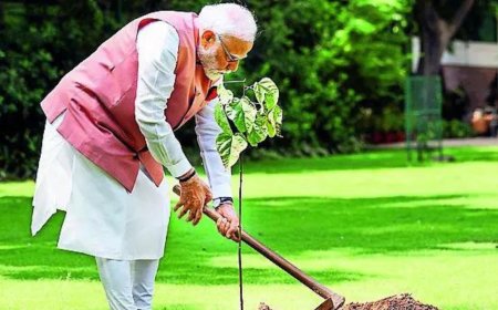 PM marks World Environment Day with a Sindoor sapling