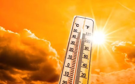 India's annual mean temperature rise up from 25.05°C in 2001 to 25.74°C in 2024, Electricity generation from renewable sources increased more than three times in 10 years