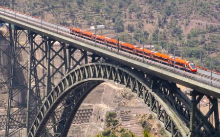 Horses and mules to the rescue: How Chenab Bridge was built in Kashmir - The origin story