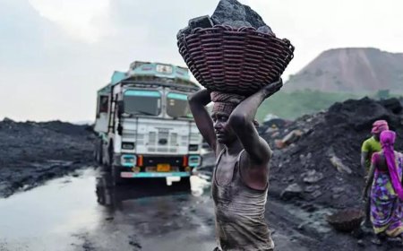 Former secretary among 3 acquitted in coal block case