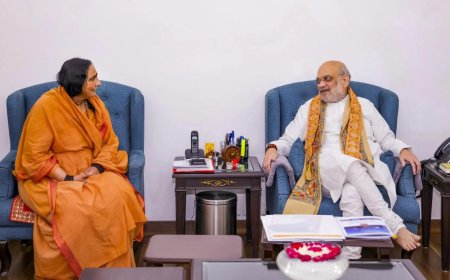 Amit Shah launches language hub to 'decolonise' admin