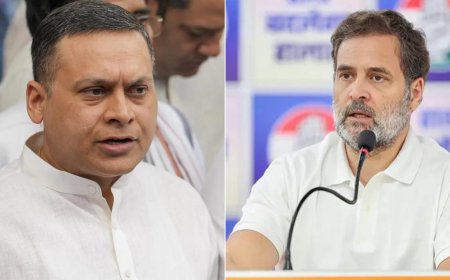 'Straight out of Soros’ playbook': BJP hits back at Rahul Gandhi over Maharashtra polls 'rigged' claim; cites EC's clarification