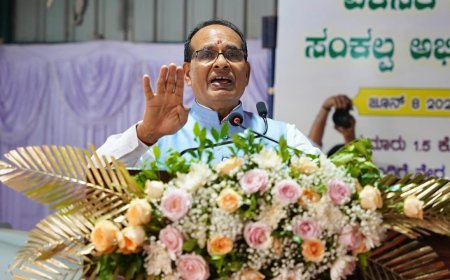 Centre plans stricter law against counterfeit farm inputs including pesticides and seeds