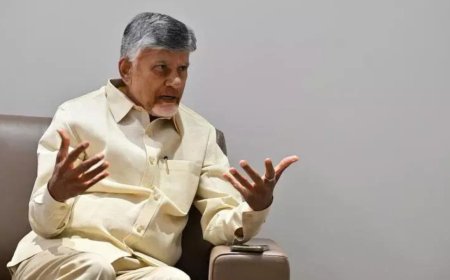 Andhra CM N Chandrababu Naidu pitches financial incentives to have more kids