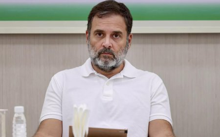 'Free of cost': EC counters Rahul Gandhi's voter roll demand; says polls details already provided