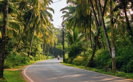 FLY91 on Monday successfully commenced operations on the Goa–Solapur–Goa route