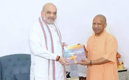 New Delhi: CM Yogi Adityanath pays courtesy visit to Union home minister Amit Shah