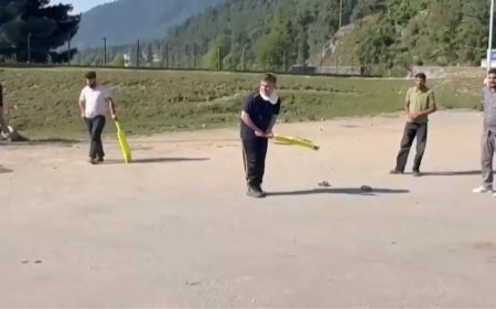 Bid to revive J&K tourism: BJP leader plays cricket in Pahalgam; watch video