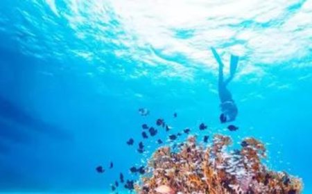 India calls for urgent global action to protect ocean, commits to early ratification of High Seas Treaty