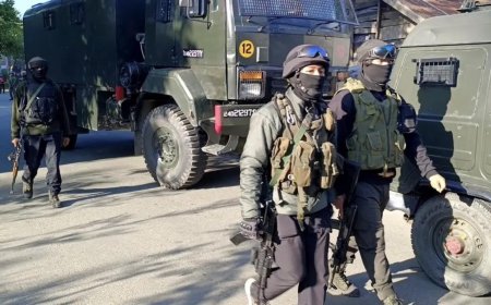 Terror suspects spotted, search operation launched in J&K's Samba