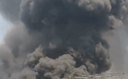 Watch: Moment Air India plane crashes near Ahmedabad airport; smoke billows from site