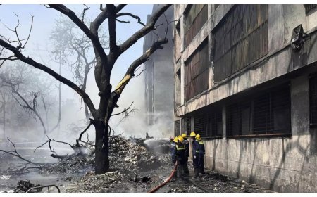Ahmedabad plane crash: 169 Indians, 53 British nationals - Who all were onboard Air India 171