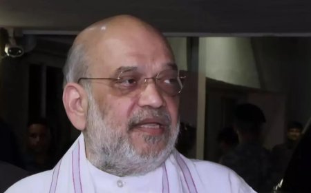 Ahmedabad plane crash: Amit Shah says couldn't save lives due to heat after crash; confirms one person survived