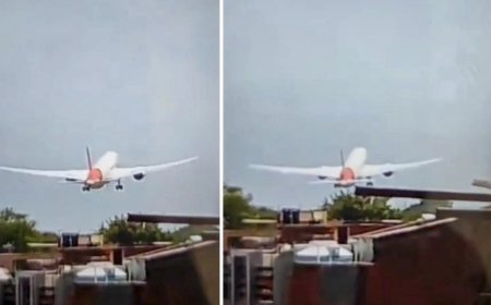 Ahmedabad plane crash: What caused the crash? Engine failure, bird hit among several theories