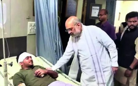 Air India plane crash: Blaze left no chance of rescue, says Amit Shah