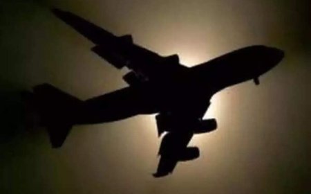 ‘Bird hit' grounds Air India Express plane in Bangkok; may fly to Surat on Saturday